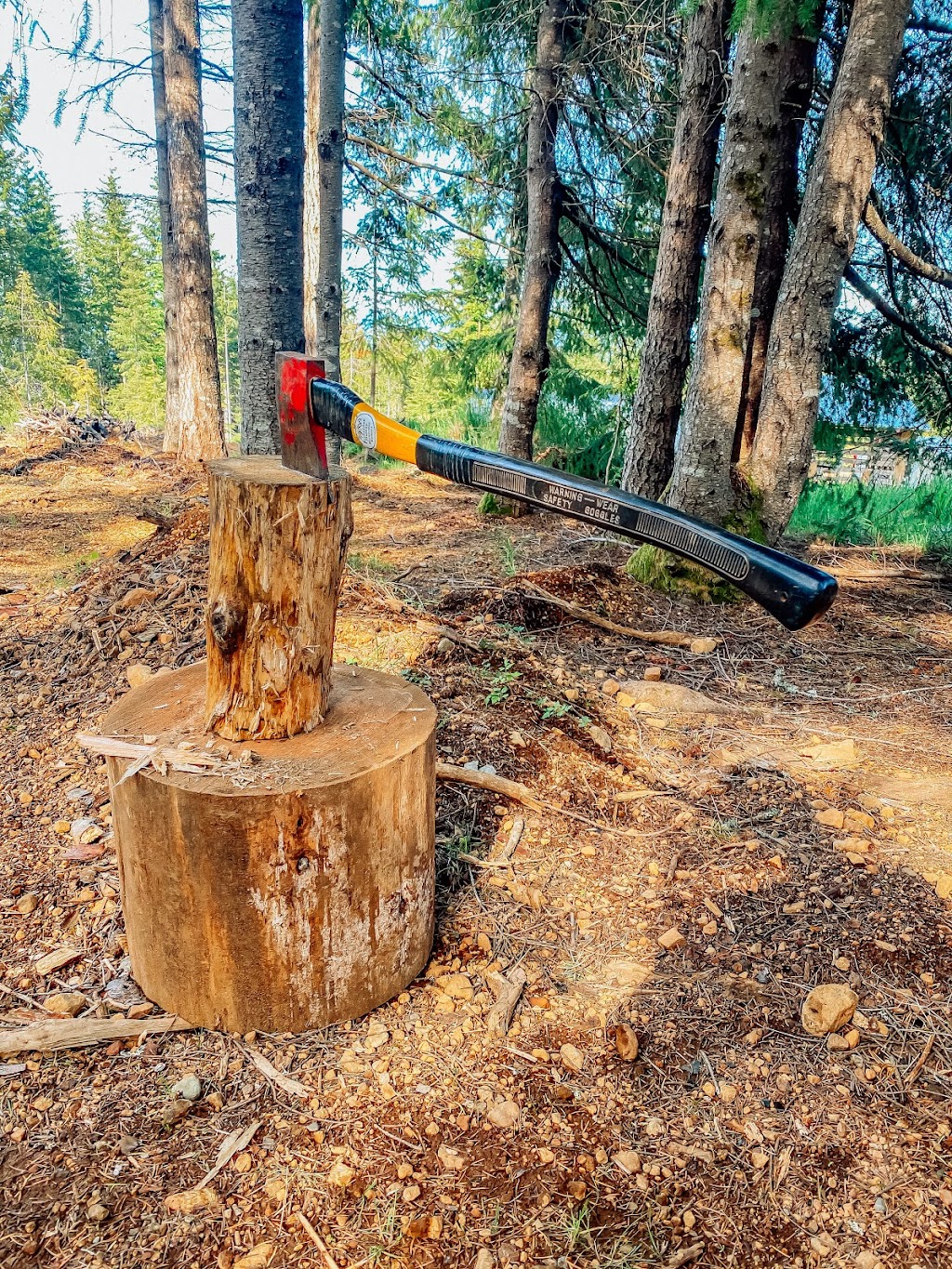 Forbidden Plateau Mountain Resort and Campground | 8010 Forbidden Plateau Rd, Courtenay, BC V9J 1L2, Canada | Phone: (250) 897-2522