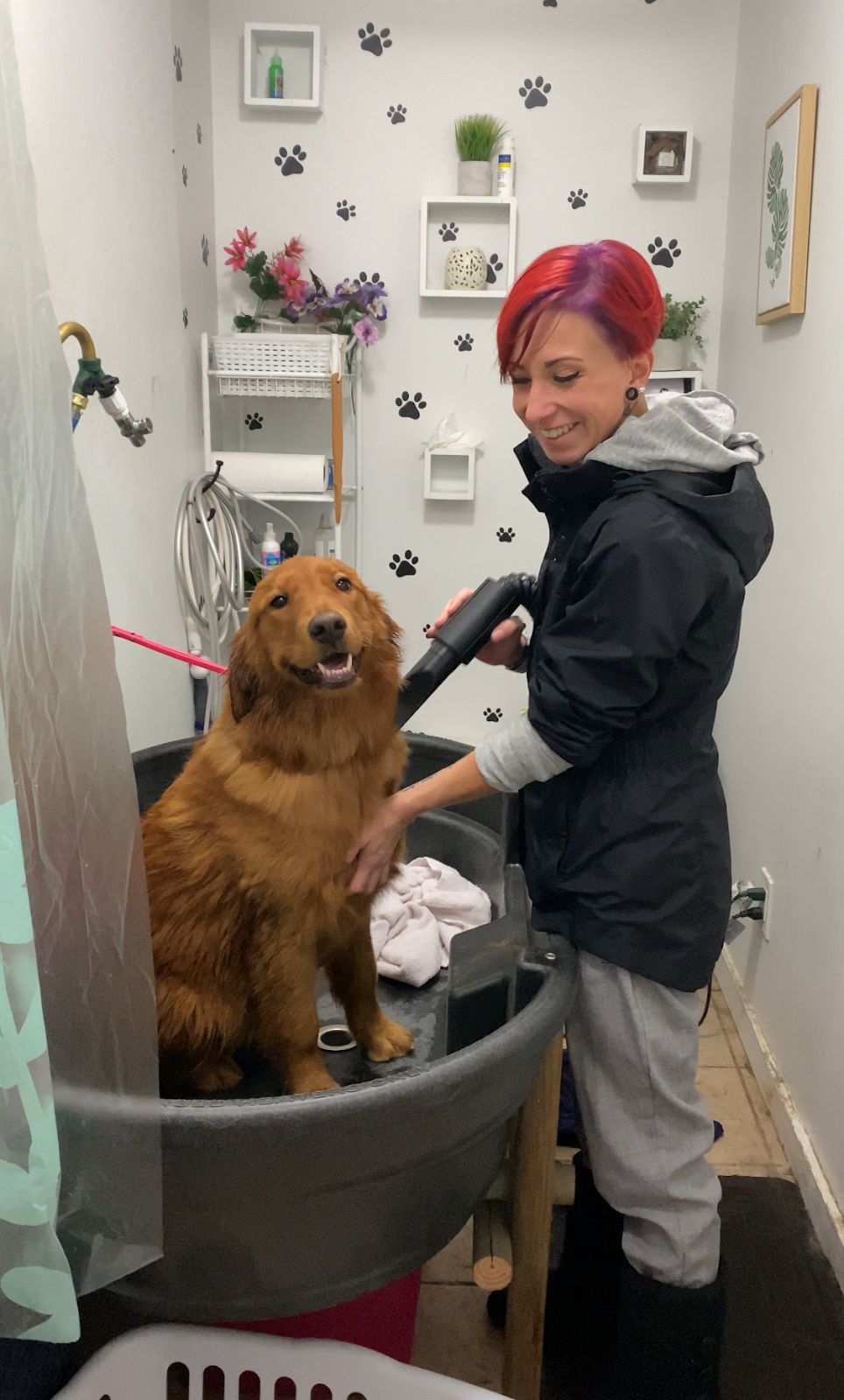 Savs Grooming Salon | 8097 Queen St, Crofton, BC V0R 1R0, Canada | Phone: (250) 740-5331