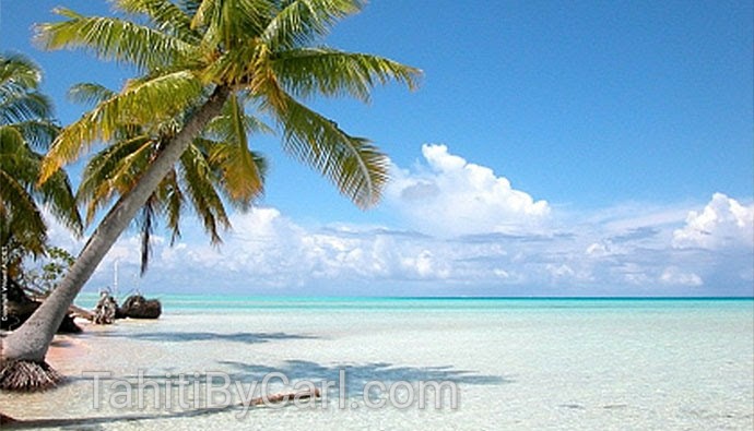 Tahiti by Carl - Carl Henderson TPI - Travel Professionals Int | Oakville, ON L6M 1K5, Canada | Phone: (877) 972-2275