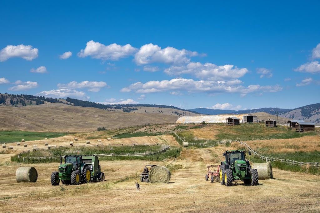 Gang Ranch Ltd | 386 Gang Ranch Rd, Gang Ranch, BC V0K 1N0, Canada | Phone: (250) 459-7923