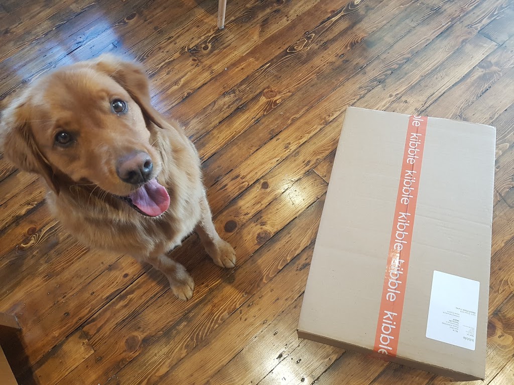 Kibble | 501 Alliance Ave, York, ON M6N 2J1, Canada | Phone: (647) 696-6339
