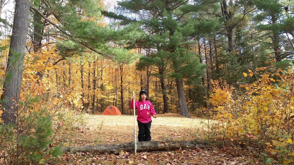The Woods of Minden HIlls | 1831 Haliburton County Rd 21, Minden, ON K0M 2K0, Canada | Phone: (705) 286-1233
