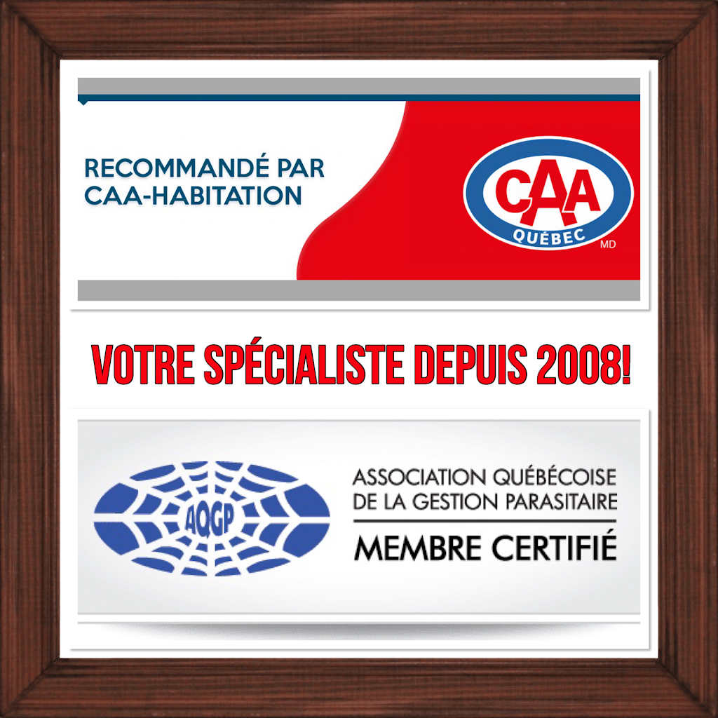 Exterminateur Laval - Morin Extermination Inc. | 1099 Rue Patenaude Porte 1, Laval, QC H7G 3H1, Canada | Phone: (450) 231-0173