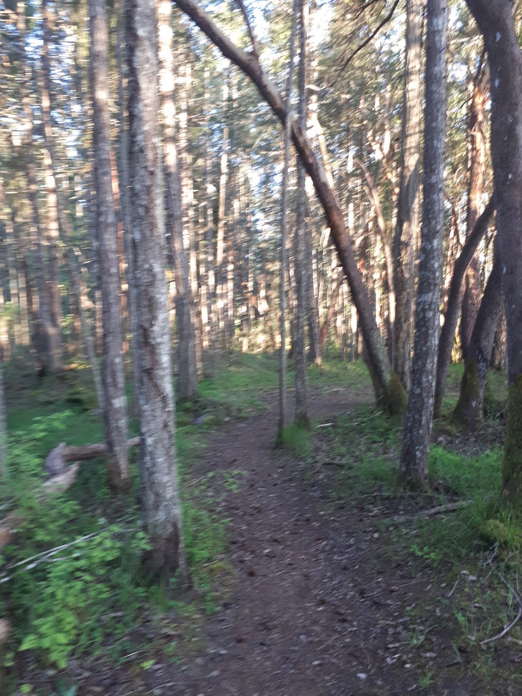 Yellow Point Park | Yellow Point Rd, Ladysmith, BC V9G 1G3, Canada | Phone: (250) 746-2620
