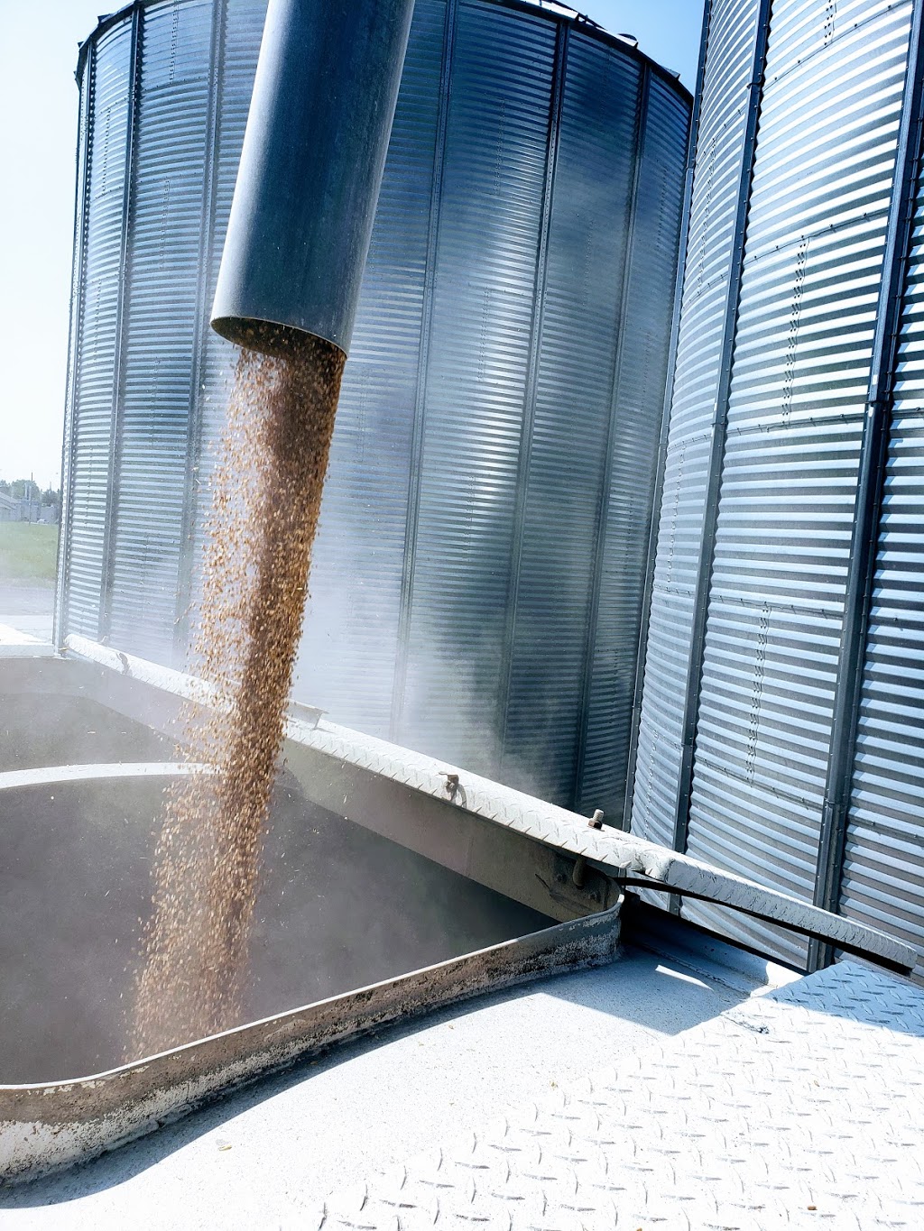 Centre de Grains Tricklinie Inc | 795 Rue Laurier, Lyster, QC G0S 1V0, Canada | Phone: (819) 998-0994