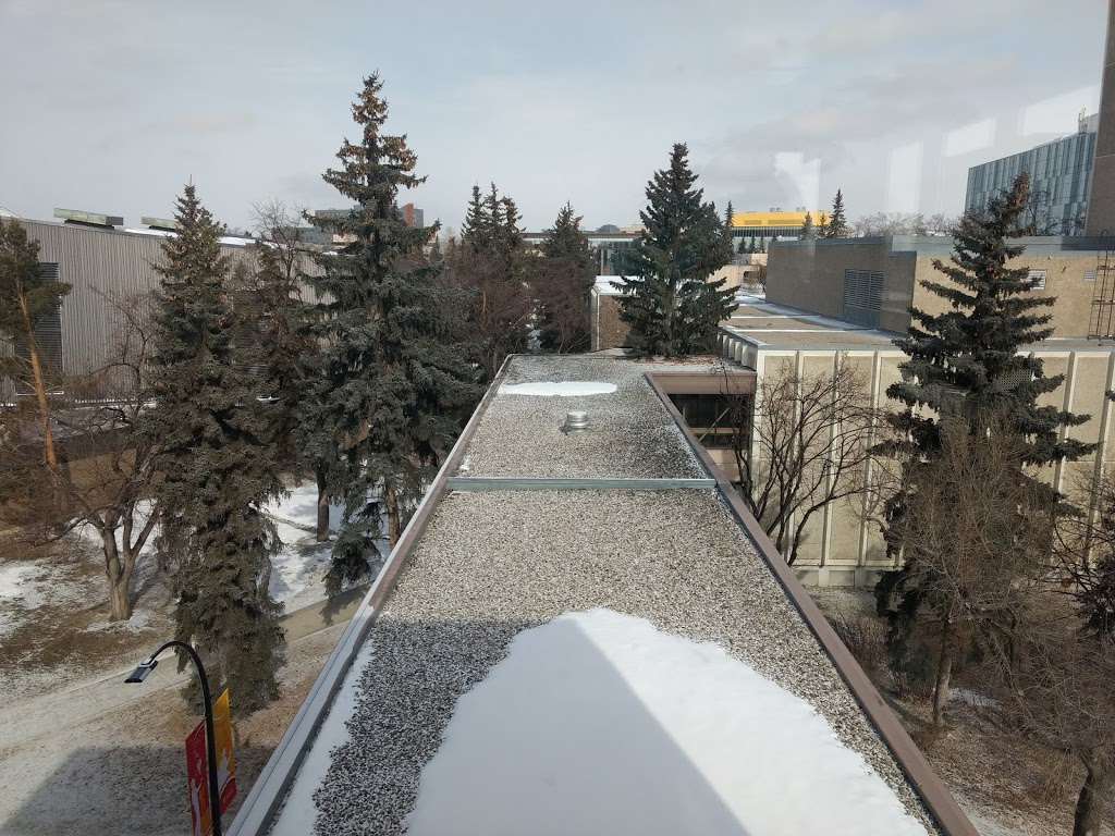 Department of Art / Art Parkade | 1N4, 2975 University Dr NW, Calgary, AB T2N, Canada | Phone: (403) 220-5251