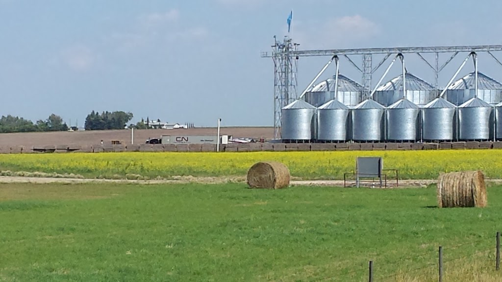 McKerral Hay & Grain | Leduc County, AB T0C 2P0, Canada | Phone: (780) 991-3616