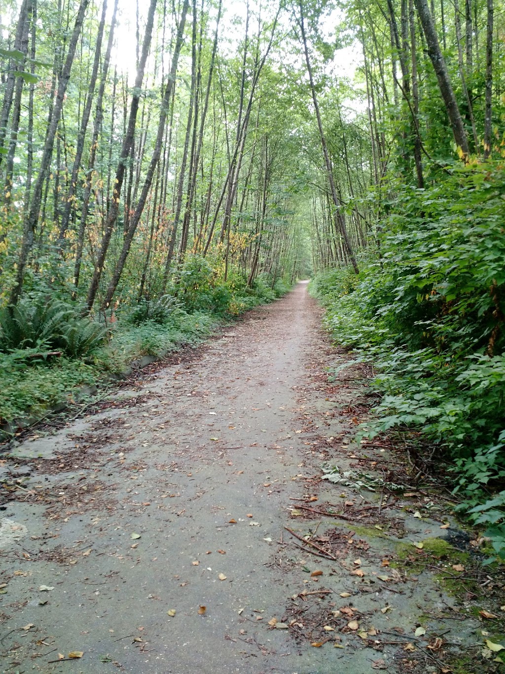 North Slope Buffer Park | Surrey, BC V4N 5E1, Canada