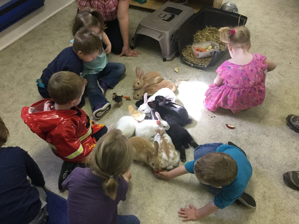 Elgin & District Cooperative Nursery School | 77 Main St, Elgin, ON K0G 1E0, Canada | Phone: (613) 359-6611