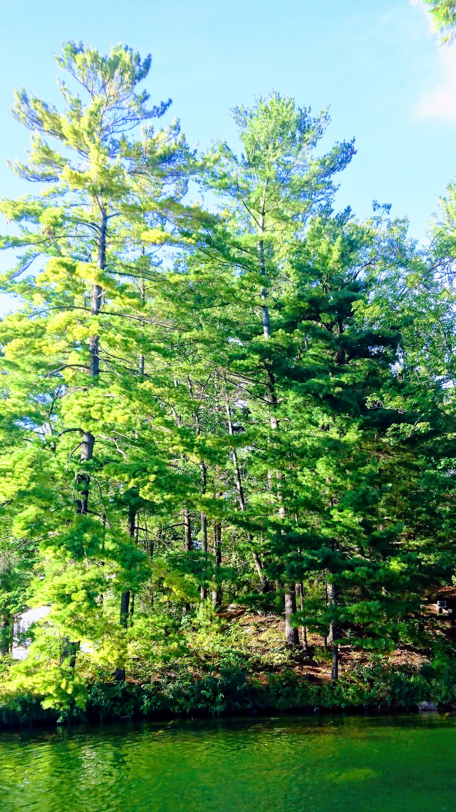 Muskoka Residential Centre | 3306 Muskoka St, Washago, ON L0K 2B0, Canada | Phone: (705) 689-0924