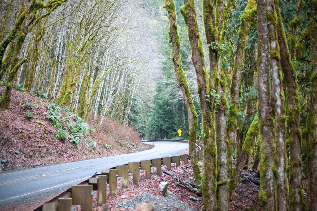 Excelsior Pass Trailhead | Mt Baker Hwy, Glacier, WA 98442, USA | Phone: (360) 856-5700