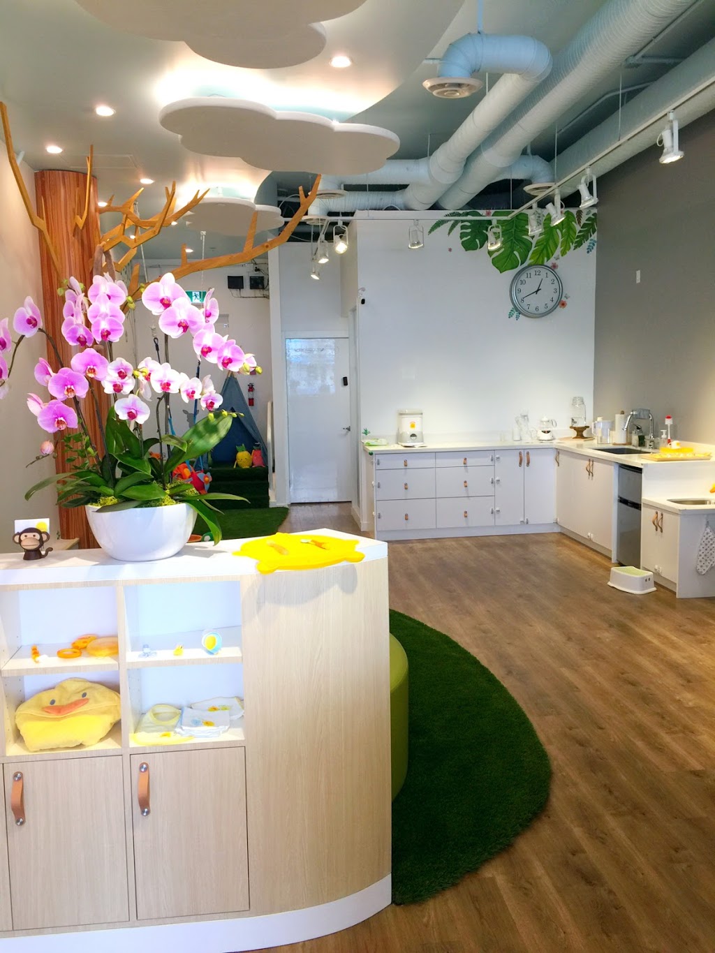 Sprout Concept | 2530 E Hastings St, Vancouver, BC V5K 1Z3, Canada | Phone: (604) 428-3496