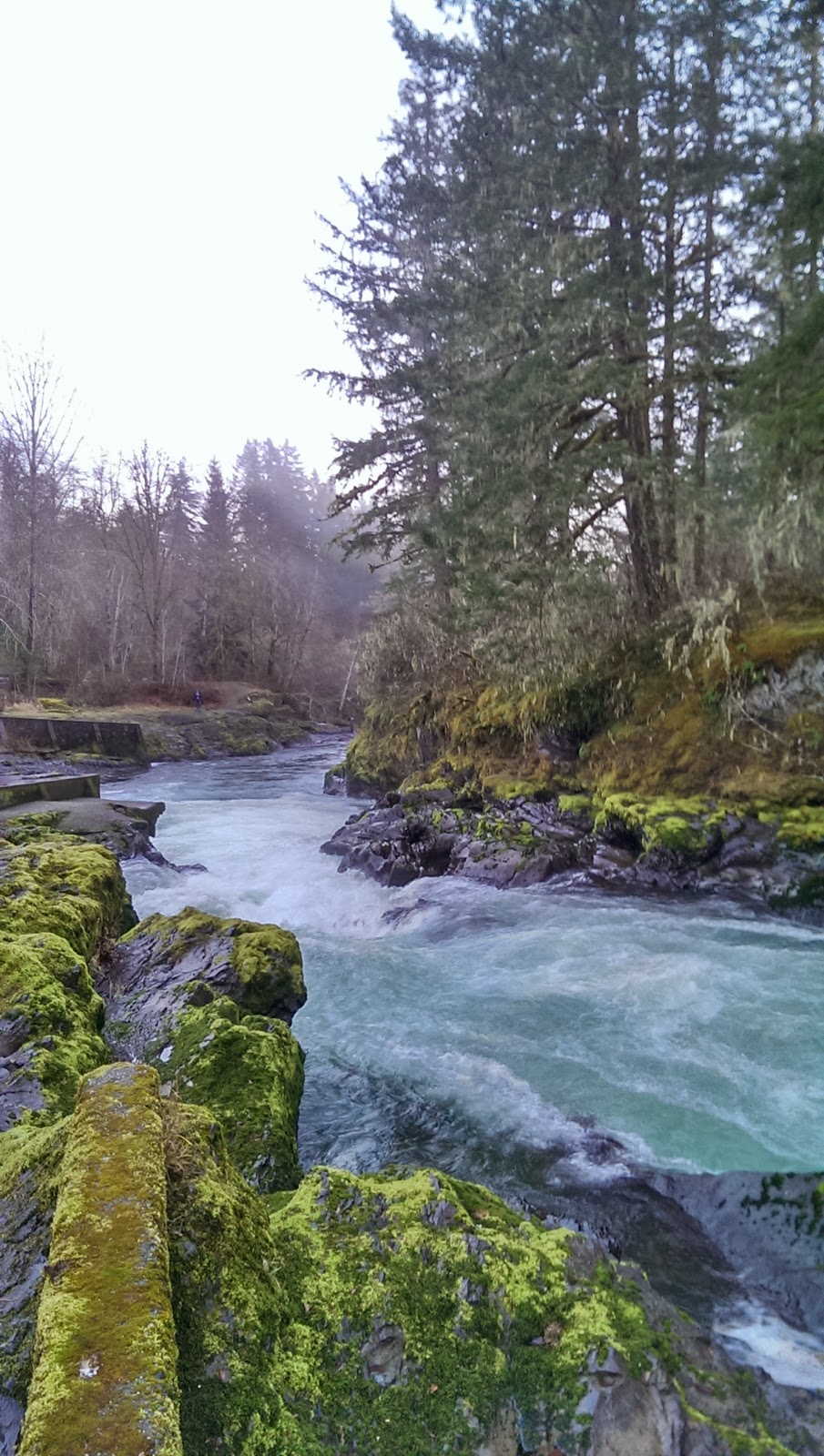 Cowichan River Provincial Park | Lake Cowichan, BC V0R 2G0, Canada | Phone: (877) 559-2115