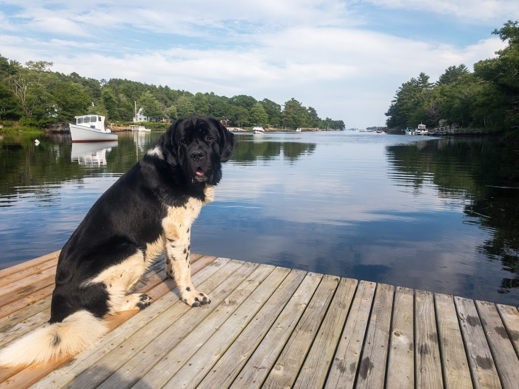 River Ridge Lodge | 28 Silver Point Rd, Mahone Bay, NS B0J 2E0, Canada | Phone: (902) 531-2284