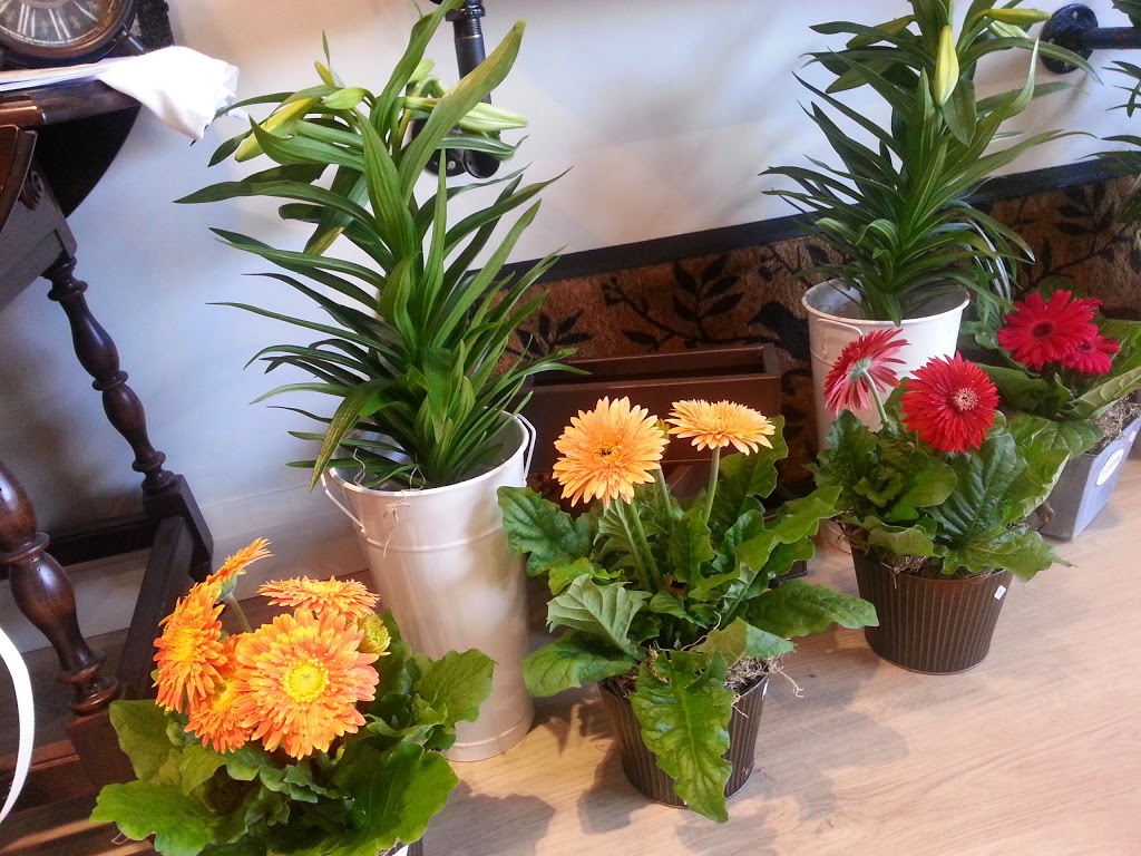 Elora St Flowers | 92 Elora St S, Harriston, ON N0G 1Z0, Canada | Phone: (519) 510-2445
