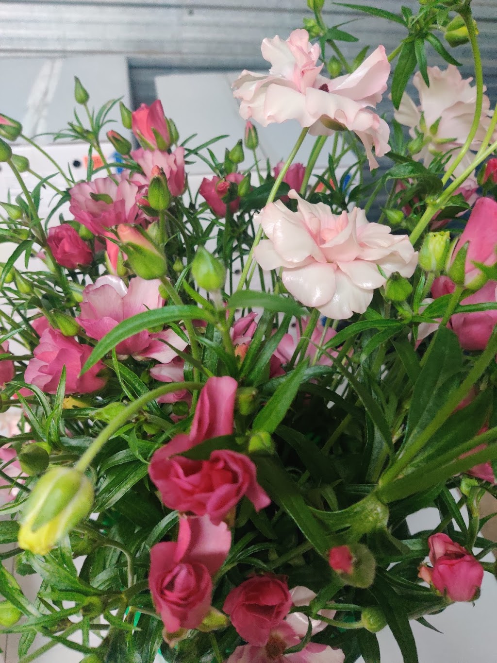 Waymar Flowers Ltd | 4181 Twenty-First St, Vineland Station, ON L0R 2E0, Canada | Phone: (905) 228-0906