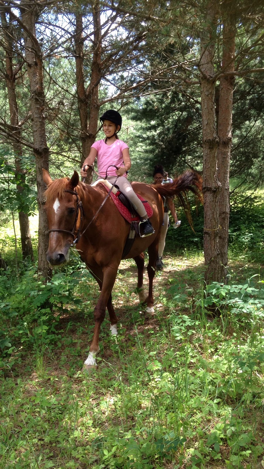 Destiny Equestrian Complex | 4088 5th Line, Innisfil, ON L9S 3L4, Canada | Phone: (416) 566-3741