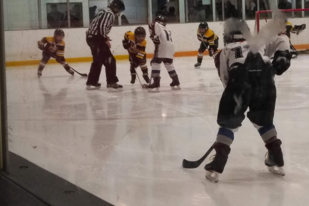 Langton & Area Arena | 30 Albert St, Langton, ON N0E 1G0, Canada | Phone: (519) 875-2709