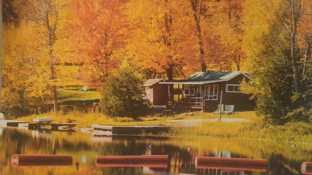Shoreview Park | Indian Arrow Rd, Barrie, ON L4M, Canada | Phone: (705) 739-4255