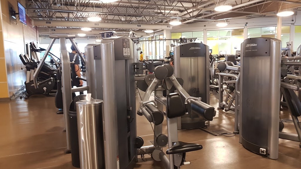 Saddletowne YMCA | 180-7555 Falconridge Blvd NE, Calgary, AB T3J 0C9, Canada | Phone: (403) 237-2393