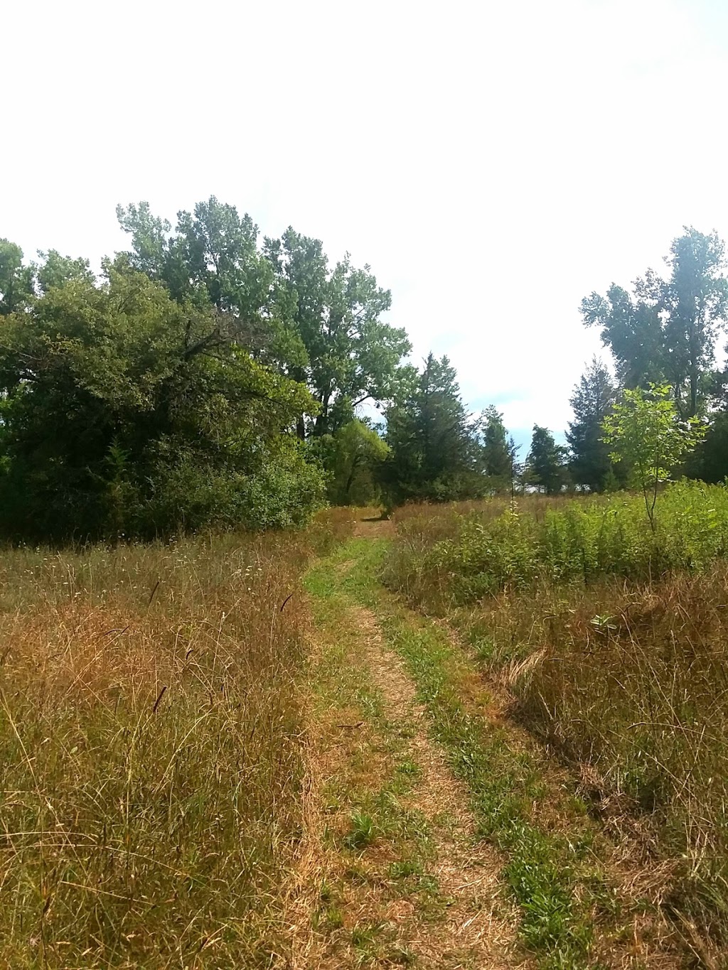El Dorado Beach Preserve | Grandjean Rd, Henderson, NY 13650, USA | Phone: (315) 387-3600