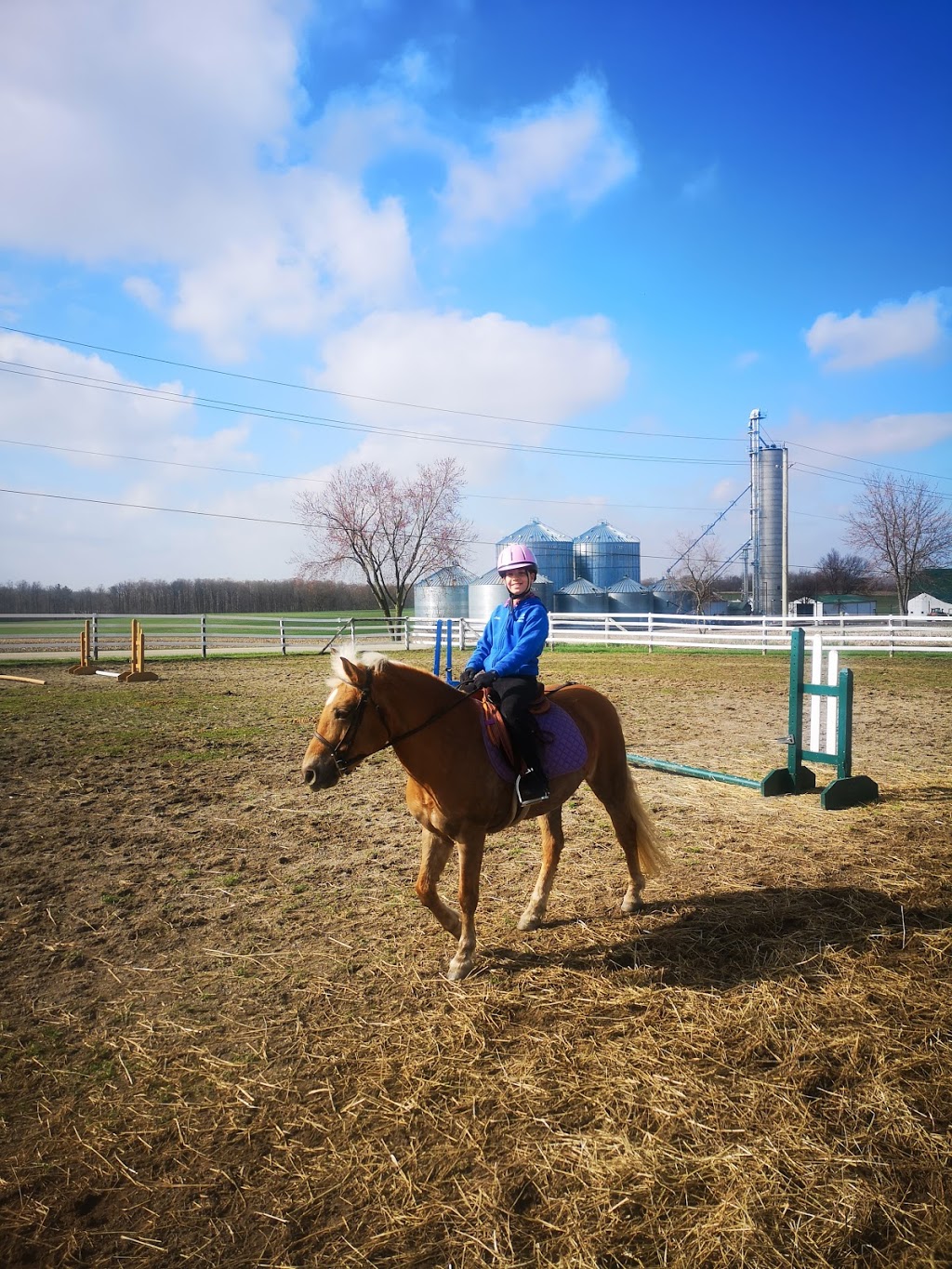 JL Equestrian Centre | 1110 Huron Rd, Petersburg, ON N0B 2H0, Canada | Phone: (226) 808-3518