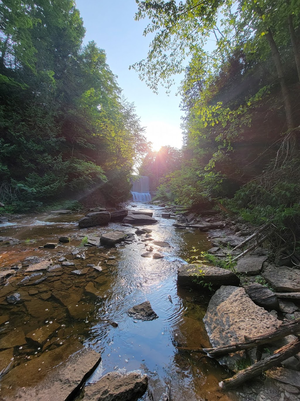 Indian Falls Conservation Area | 318614 Grey Rd 1, Owen Sound, ON N4K 5N4, Canada | Phone: (519) 376-3076