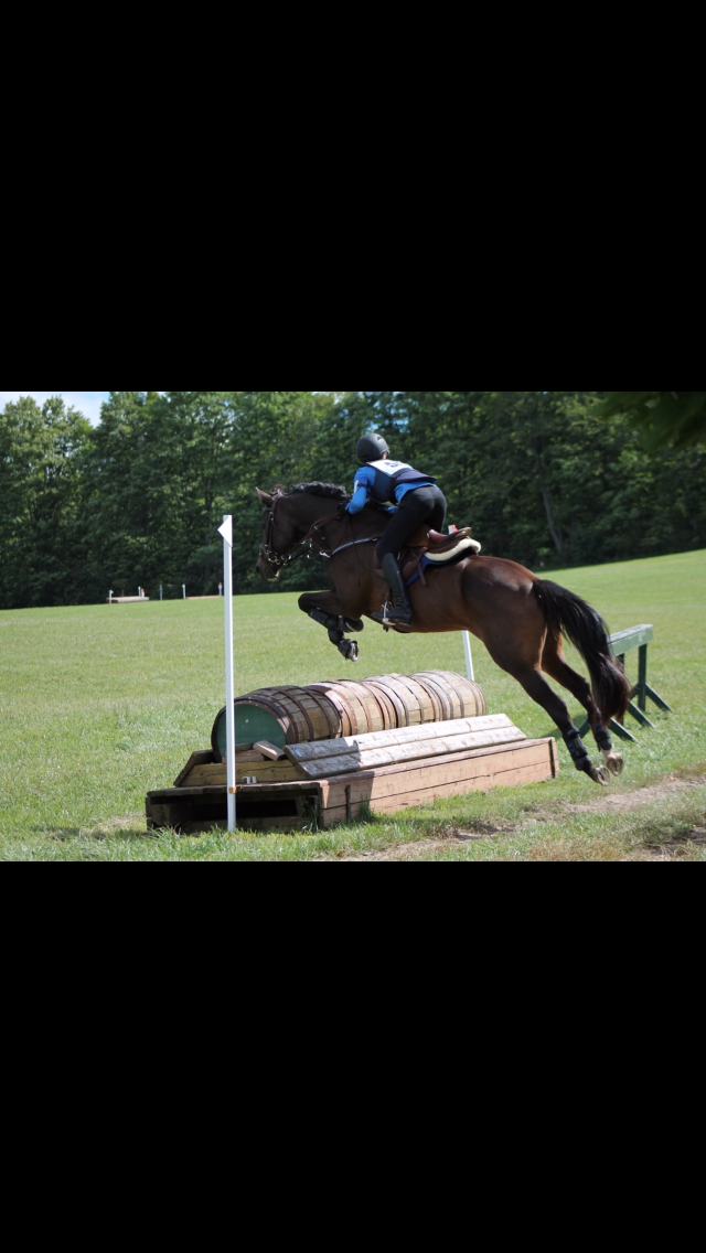 Briary Farm | 10351 Lake Ridge Rd, Port Perry, ON L9L 1V7, Canada | Phone: (416) 709-1826