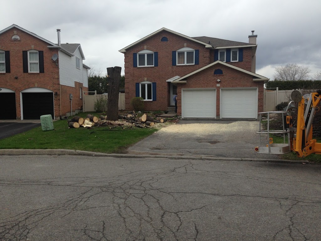 Nicholls Tree and Lawn Service Inc | 6109 Heritage Park Crescent, Orléans, ON K1C 7G8, Canada | Phone: (613) 882-3873