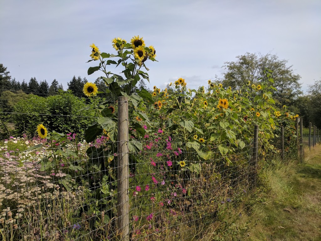 Full Bloom Farm | 2330 Tuttle Ln, Lummi Island, WA 98262, USA | Phone: (360) 758-7173