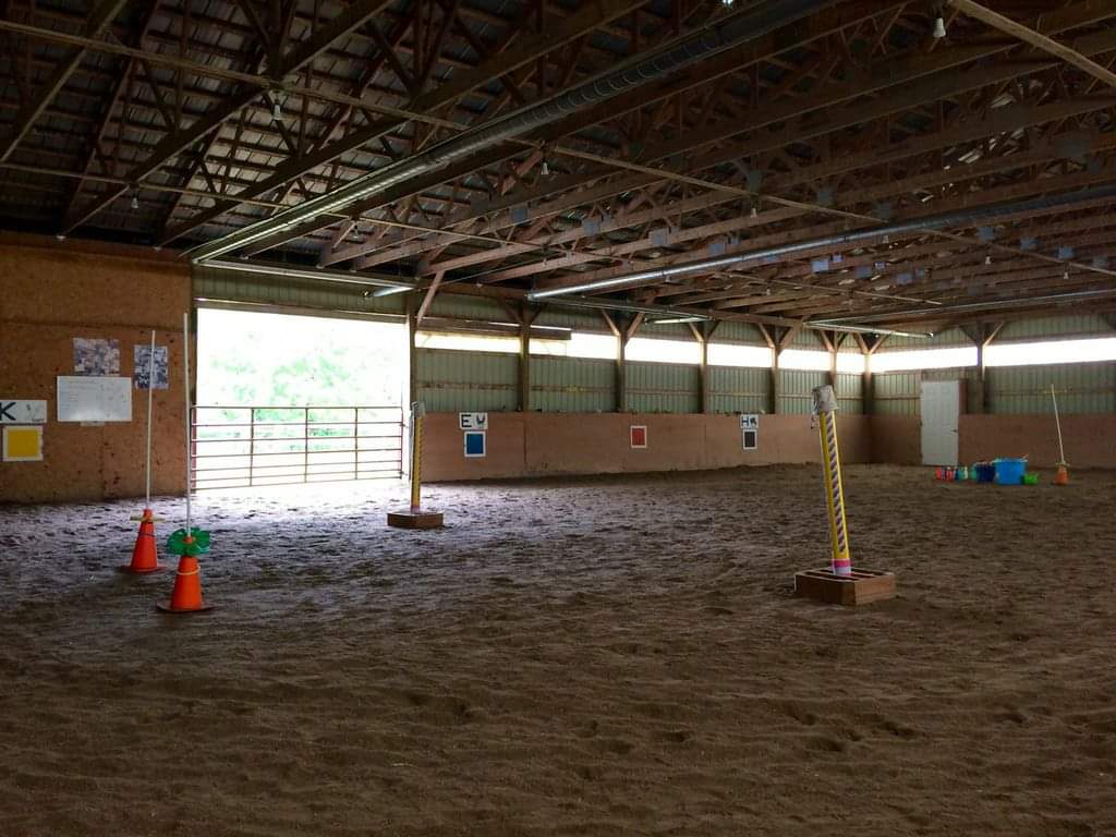 Quinte Therapeutic Riding Association | 173 McGee Rd #2, Stirling, ON K0K 3E0, Canada | Phone: (613) 395-4472