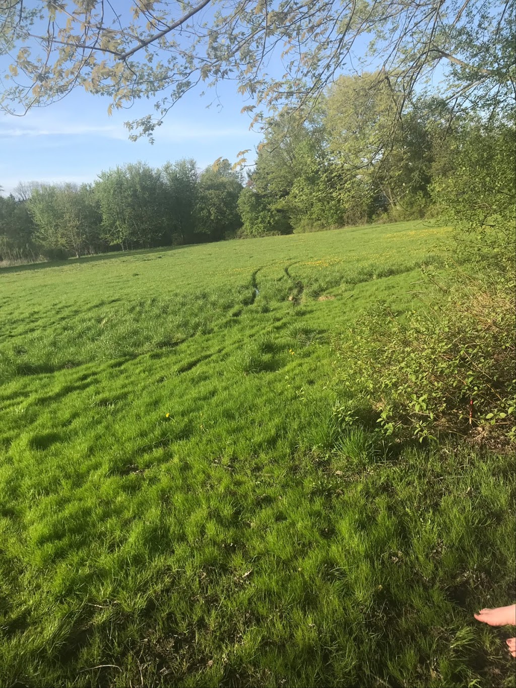 Rosebough Park | 23 Rosebough St, Hamilton, ON L9H 4Z8, Canada