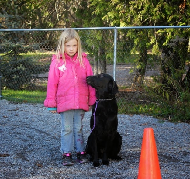 DueNorth Pet Care | 2106 McCrackens Landing Rd RR 2, Lakefield, ON K0L 2H0, Canada | Phone: (705) 652-0682