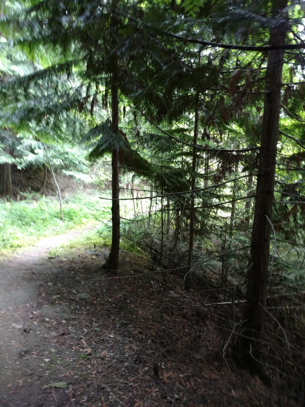 Scenic Canyon Regional Park | Kelowna, BC V1W 4G1, Canada