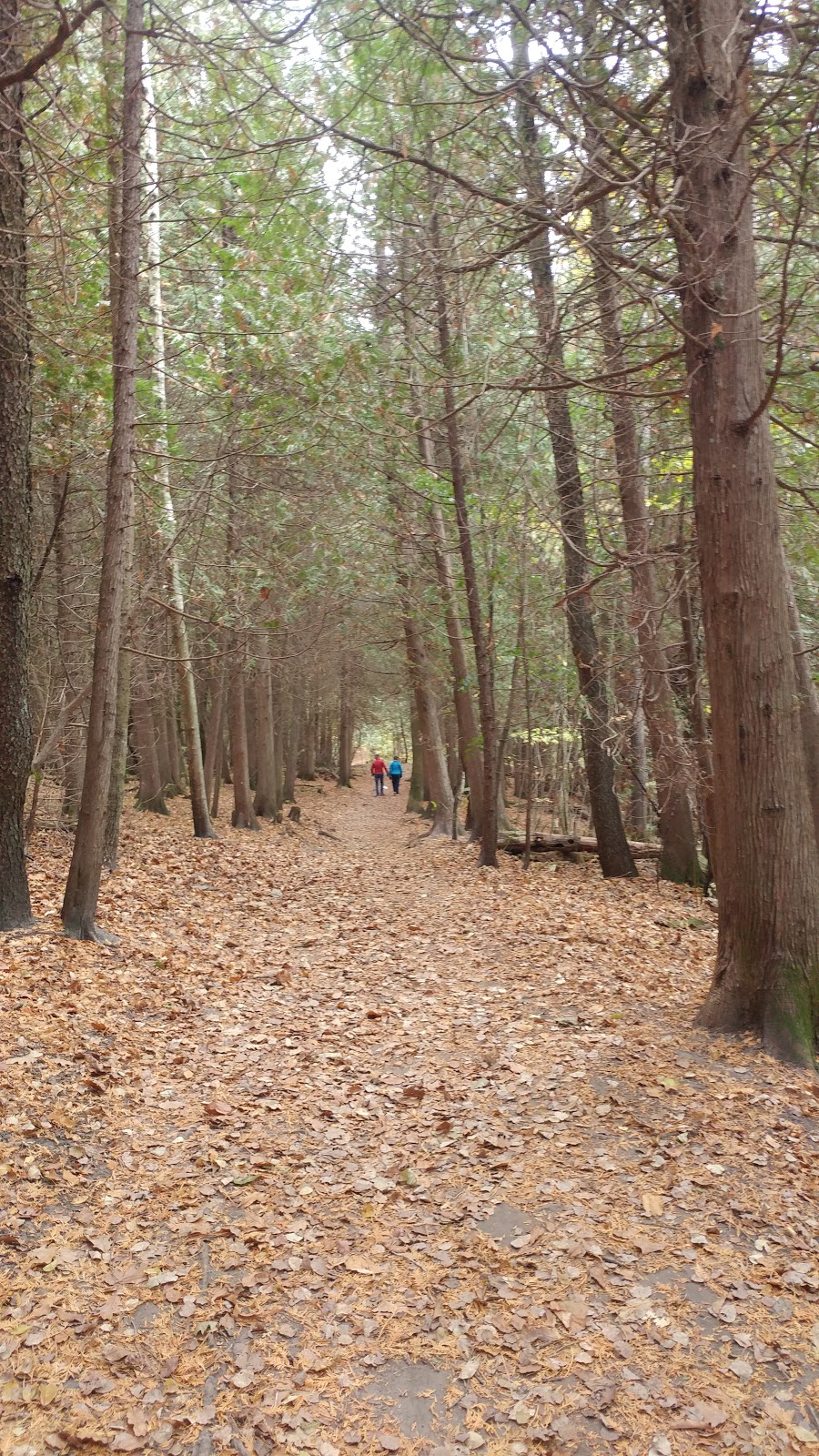Stephens Gulch Conservation Area | L1C 4V7, 367 Stephens Mill Rd, Bowmanville, ON L1C 4V7, Canada