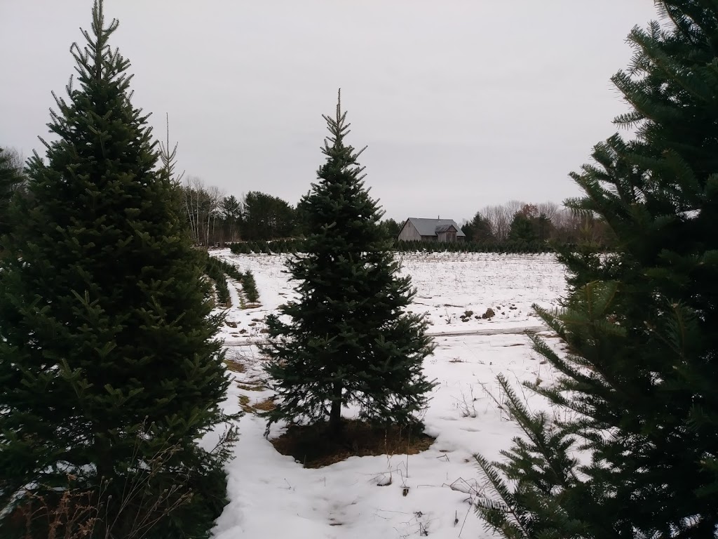 Plantation des Frontières | 295 Chemin des Érables, Saint-Armand, QC J0J 1T0, Canada | Phone: (450) 248-3575