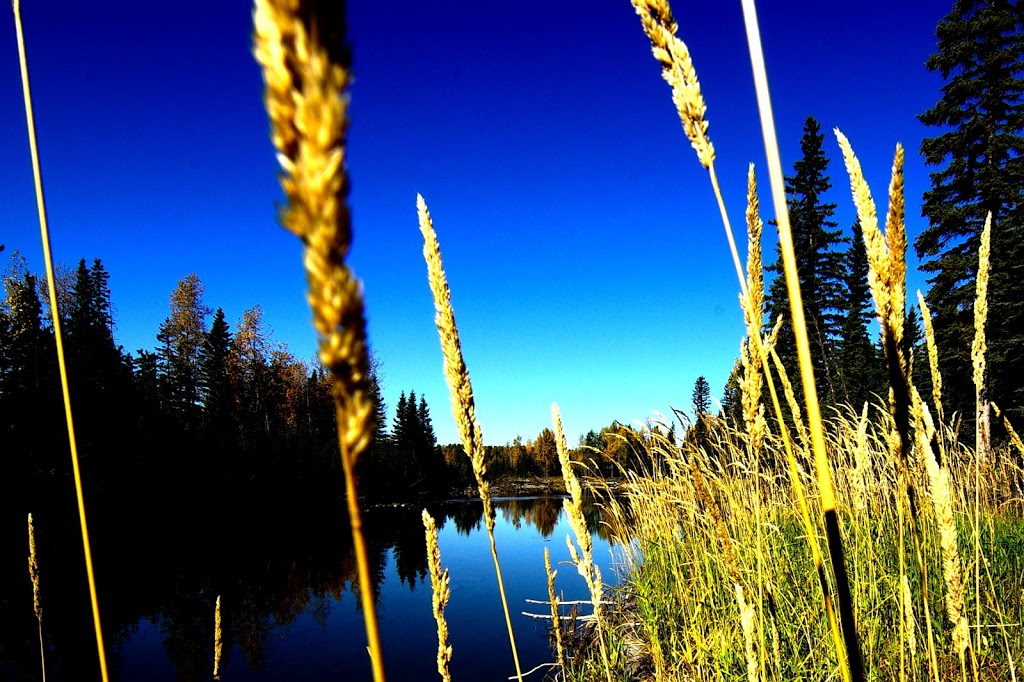 Camp Evergreen | 31404 Range Rd. 52, Township Rd 314, Bergen, AB T0M 1X0, Canada | Phone: (403) 638-4230