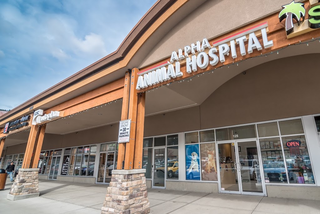 Alpha Animal Hospital | 2362 Whatcom Rd #125, Abbotsford, BC V3G 0C1, Canada | Phone: (604) 859-6322