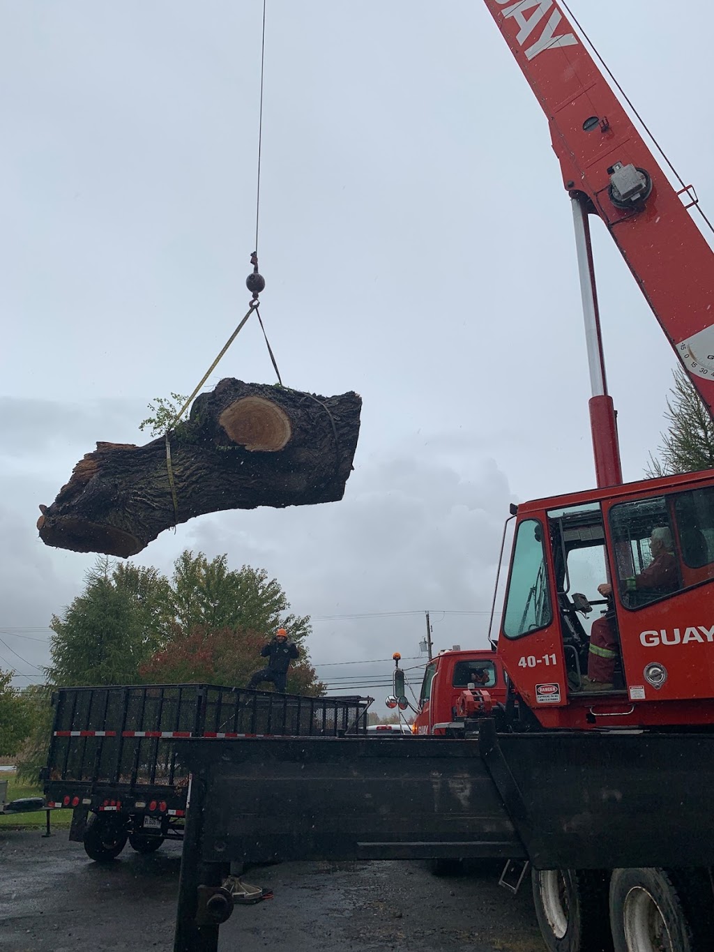 Service d’Arbres Beauchemin | 116 Chemin de lÎle dEmbarras, Sorel-Tracy, QC J3P 5N3, Canada | Phone: (514) 816-6804
