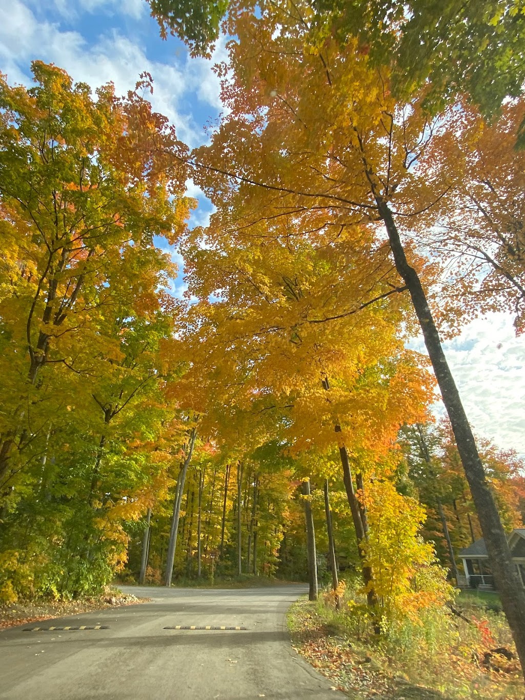 East Lake Shores | 392 County Road 18, Cherry Valley, ON K0K 1P0, Canada | Phone: (613) 906-9990
