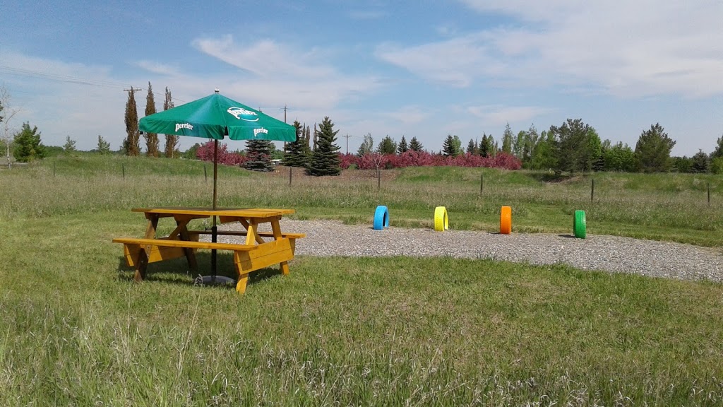 MyWalkies | Township Rd 215A, De Winton, AB T0L 0X0, Canada | Phone: (403) 248-5032