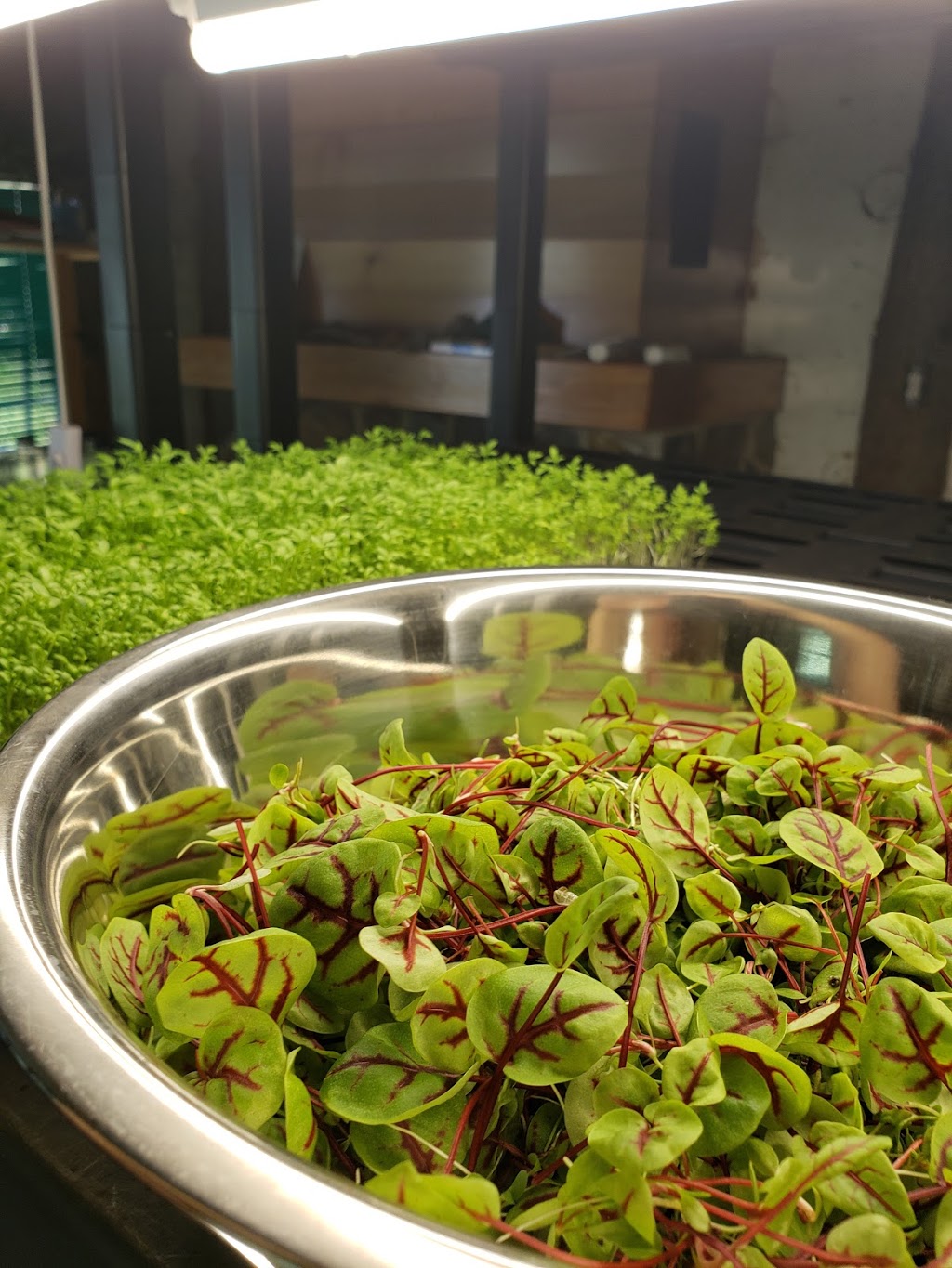 Glean: an Ediths Farm co | 19148, Township Rd 464, Camrose, AB T0B 3P0, Canada | Phone: (780) 909-0416