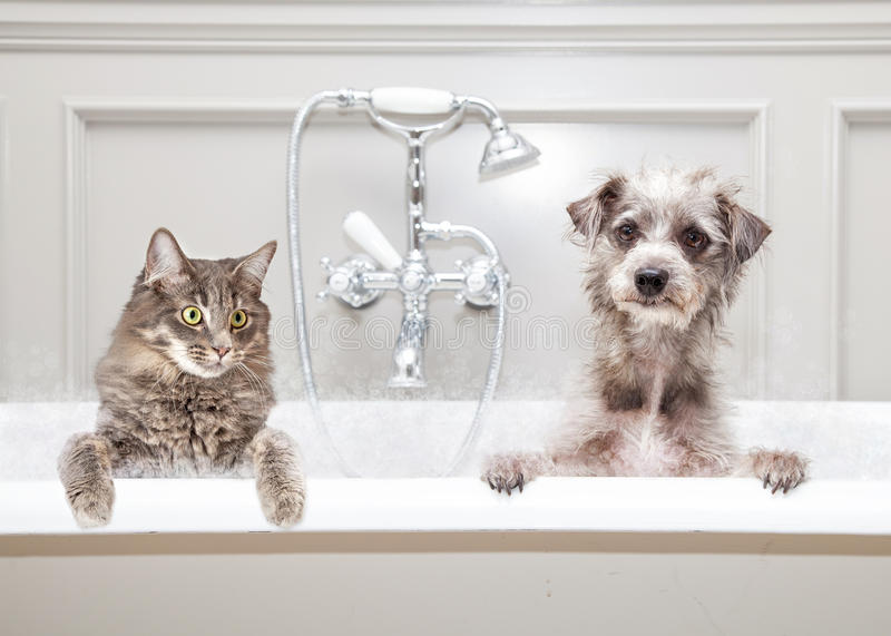 Langley Home Plumbing & Heating | 20821 Fraser Hwy #47, Langley City, BC V3A 0B6, Canada | Phone: (604) 868-6843