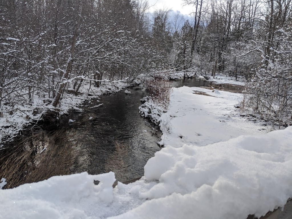 Bleasdell Boulder Conservation Area | Trenton, Quinte West, ON K8V 5P6, Canada | Phone: (613) 394-4829