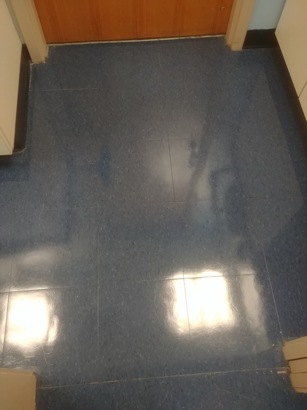 4 seasons carpet cleaning | 111 Colonnade Rd unit 204, Ottawa, ON K2E 7M3, Canada | Phone: (613) 321-3454