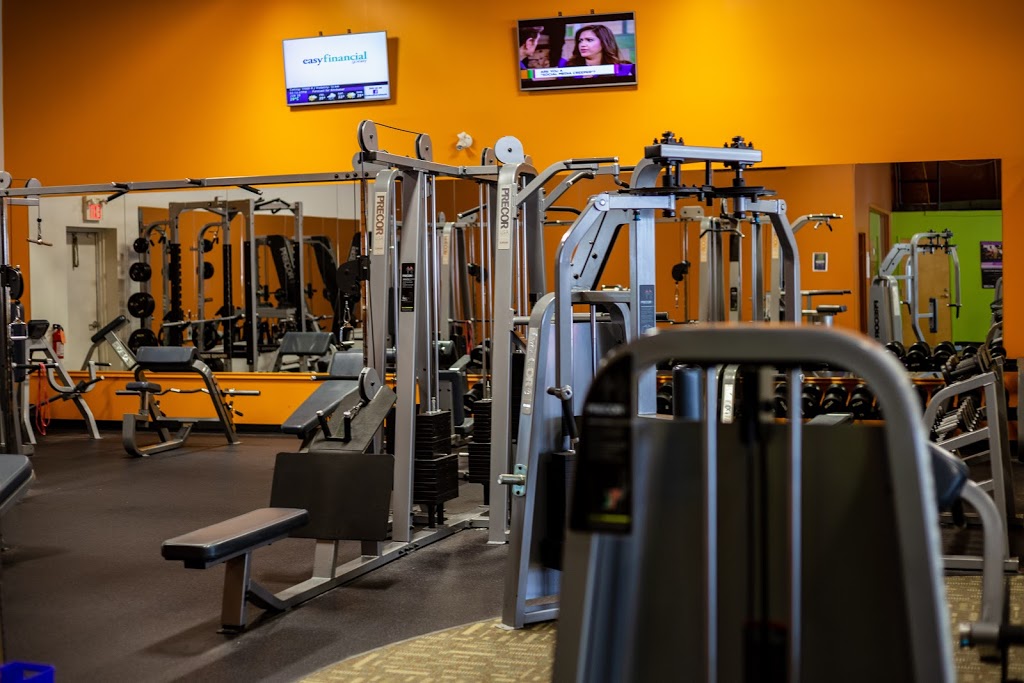 Anytime Fitness | 1381 Victoria St N, Kitchener, ON N2B 0A1, Canada | Phone: (519) 569-7365
