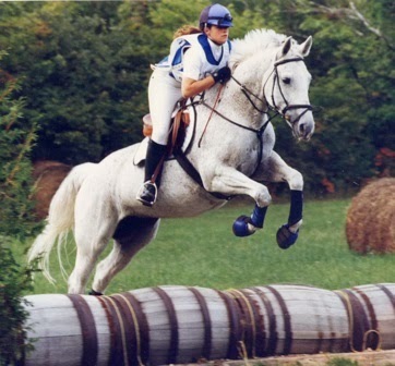 Cedarstone Farm | Durham, ON N0G 1R0, Canada | Phone: (519) 369-5971
