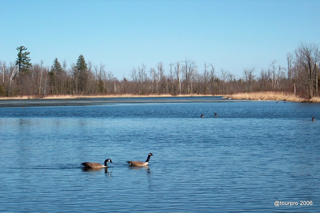 Lake Alice Wildlife Management Area | West Chazy, NY 12992, USA | Phone: (518) 897-1291