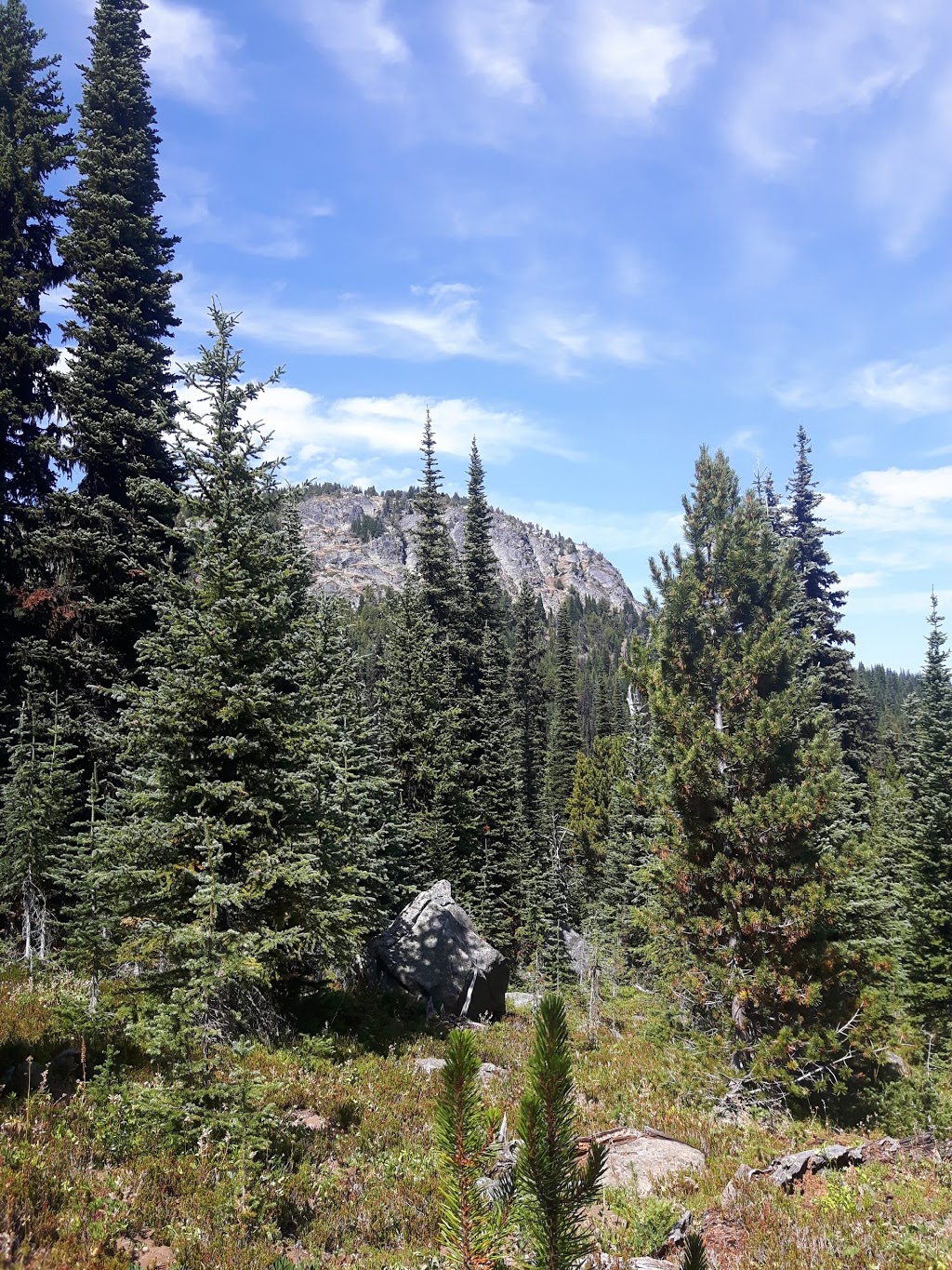 Brent Mountain Protected Area | Apex Mountain Rd, Hedley, BC V0X 1K0, Canada | Phone: (800) 689-9025