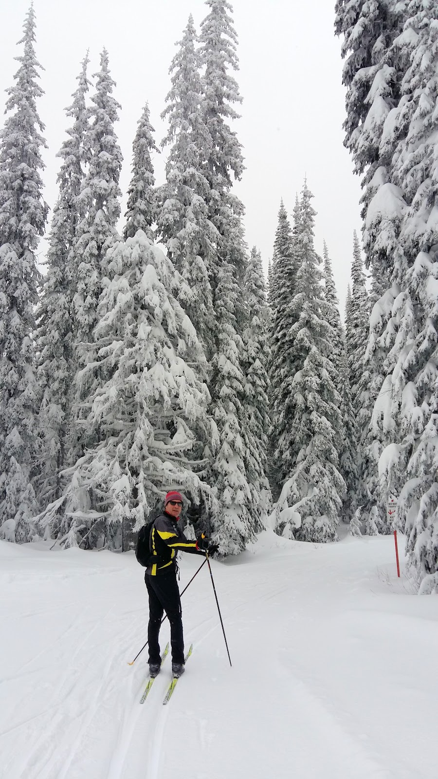 Silver Star Provincial Park | Vernon, BC V1B 3M6, Canada | Phone: (800) 689-9025
